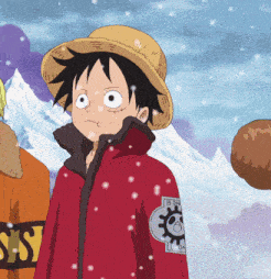 monkey d luffy is wearing a red jacket with a skull patch on it