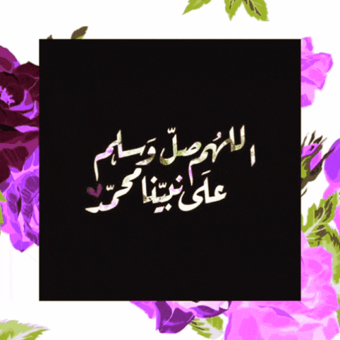 a black background with purple flowers in the background